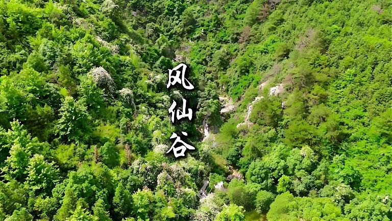 在郴州安仁隐藏着一个神秘的地方“凤仙谷” 图2